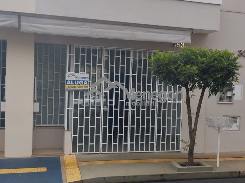 Paraguaçu Paulista - SP